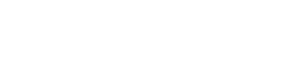 BitNinja